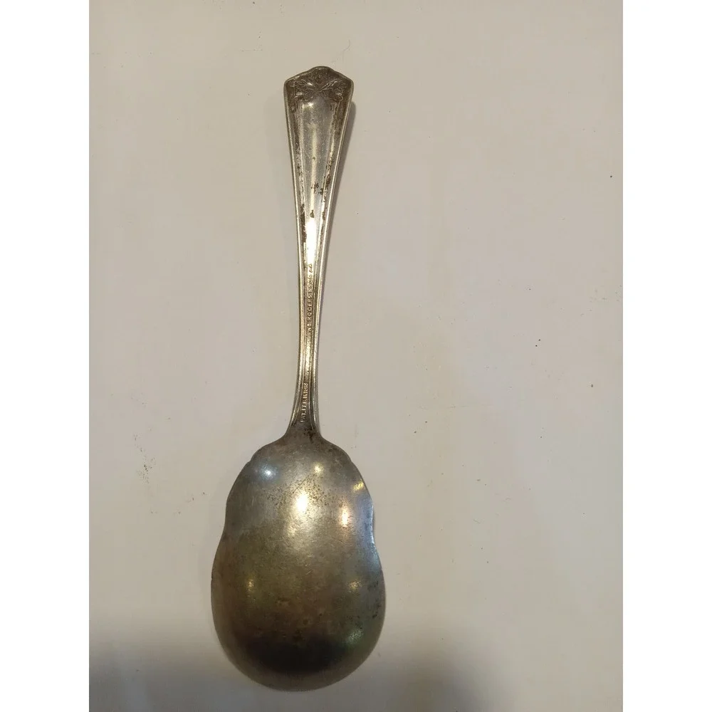Wm Rogers & Son 1913 Arbutus Silverplate Sugar Shell Spoon Scalloped Floral AA